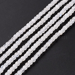 天然レインボー ムーンストーン ビーズ 連売り  多面カット  キューブ  2.5x2.5mm  穴：0.5mm  約164個/連  15.35インチ（39cm）&nbsp;G-F717-19
