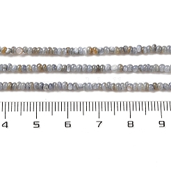 天然淡水シェルビーズ連売り  染め  ロンデル  濃いグレー  2~2.5x0.5~2.5mm  穴：0.5mm  約205~235個/連  14.57~15.16インチ（37~38.5cm）&nbsp;SHEL-P017-01A-13