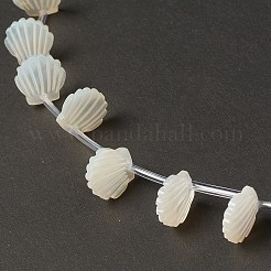 パールシェルビーズの天然な白いシェルマザーオブパール  トップ掘削  シェル  乳白色  10x10x3mm  穴：1mm  約20個/連  10.63''（27センチメートル）&nbsp;BSHE-B005-07