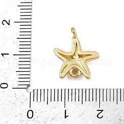 真鍮製の海の動物のコネクターチャーム  18KGP本金メッキ  ラックめっき  長持ちメッキ  カドミウムフリー＆鉛フリー  ヒトデ  16x13.5x4mm  穴：1.5mm&nbsp;KK-I352-29G-02