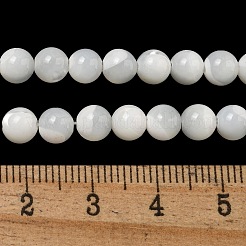 天然石シーシェルビーズ連売り  ラウンド  乳白色  6mm  穴：1mm  約68~80個/連  15.75インチ&nbsp;SSHEL-K013-6mm-A