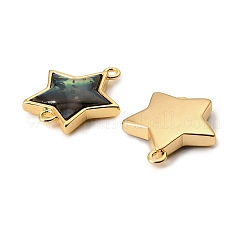 天然パウア貝のスターコネクターチャーム  真鍮のセッティングで  18KGP本金メッキ  17x15.5x3mm  穴：1.2mm&nbsp;KK-G538-42G