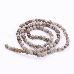 天然石シルバーリーフジャスパビーズ連売り  ラウンド  多面カット  4mm  穴：1mm  約98個/連  15.7インチ（40cm）&nbsp;G-G683-08-4mm