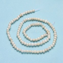 天然養殖淡水パールビーズ連売り  ポテト  ベージュ  2.5~3x3.5~4.5x3~4mm  穴：0.5mm  約119~124個/連  13.78~13.90インチ（35~35.3cm）&nbsp;X-PEAR-F018-11