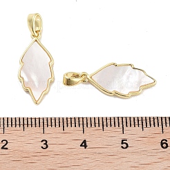 真鍮パヴェ天然シェルペンダント  葉のチャーム  18KGP本金メッキ  20x9x2mm  穴：4x2.5mm&nbsp;KK-C051-16G