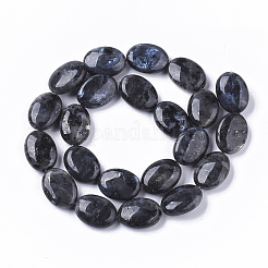 天然ラルビカイトビーズ連売り  オーバル  18x13.5x6~7mm  穴：1.2mm  約20~22個/連  15.55インチ（39.5 cm）&nbsp;G-S359-001