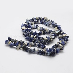 天然石ソーダライトビーズ連売り  チップ  ブルー  3~5x7~13x2~4mm  穴：0.4mm  31.5インチ&nbsp;G-F328-25