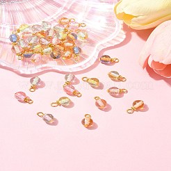 グラデーションカラー樹脂ペンダント40個  金色の鉄の金具と箔付き  ラウンド  ミックスカラー  16mm  穴：2.8mm&nbsp;PALLOY-FS00029