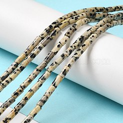 天然石ダルメシアンジャスパービーズ連売り  コラム  6x3mm  穴：0.8mm  約59~60個/連  15.08~15.20''（38.3~38.6センチメートル）&nbsp;G-E612-B01