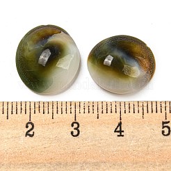 巻貝のカボション  半円  半円  11.5~14.5x6mm  約：511個/ 1000 G&nbsp;BSHE-Z005-08
