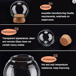 ガラスドームカバー  装飾ショーケース  コルク付きクロッシュベルジャーテラリウム  淡い茶色  50x47.5mm&nbsp;FIND-WH0152-555