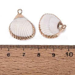 電気メッキされた金色の真鍮の縁取りと天然の貝殻のペンダント  貝殻の形のチャーム  貝殻色  18~22x15.5~18.5x7.5~8.5mm  穴：1.8mm&nbsp;SSHEL-N042-30