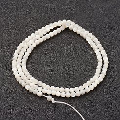天然ホワイトシェルビーズ連売り  マザーオブパールシェル  ラウンド  3mm  穴：0.8mm  約127個/連  15.15インチ（38.5cm）&nbsp;X-G-G680-54