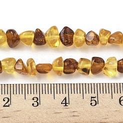 天然琥珀ビーズ連売り  ナゲット  タンブルストーン  6~8x5~7x3~5mm  穴：0.6mm  約86個/連  14.76インチ（37.5cm）&nbsp;G-L095-E01-03