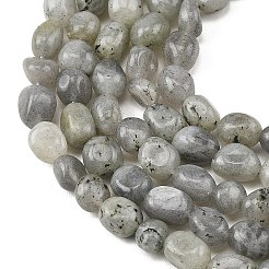 天然石ラブラドライトビーズ連売り  ナゲット  タンブルストーン  6~12x5~8.5x4~8mm  穴：0.8~1mm  約40~52個/連  15.16''~15.94''（38.5~40.5センチメートル）&nbsp;G-P623-A03-01