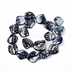 淡水シェルビーズ連売り  ABカラーメッキ  染め  歯  ブラック  18~23x17~25x5~12mm  穴：1mm  約19個/連  15.75インチ〜16.34インチ（40~41.5cm）&nbsp;X-SHEL-N026-204