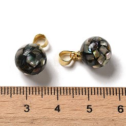 天然パウア貝染めラウンドチャーム  ベイルに金メッキ真鍮スナップ付き  ブラック  14x10mm  穴：4.5x4mm&nbsp;SSHEL-H071-01G-05