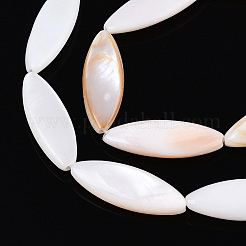 天然淡水シェルビーズ連売り  平らな馬の目  貝殻色  19.5~21x7~7.5x3.5~4mm  穴：0.6mm  約18個/連  14.17インチ（36cm）&nbsp;PBB220Y-1-01