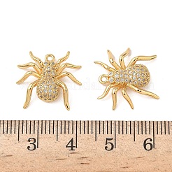 真鍮マイクロパヴェクリアキュービックジルコニアペンダント  クモ  ニッケルフリー  18KGP本金メッキ  16.5x17.5x4mm  穴：1mm&nbsp;KK-B160-34G