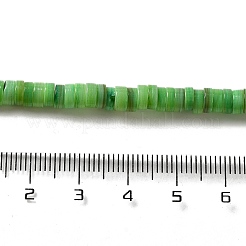 天然シェルビーズ  フラットラウンド/ディスク  ヒシビーズ  ライムグリーン  5x1.5~3mm  穴：0.8~1mm  約167~214個/連  15.55~15.94''（39.5~40.5センチメートル）&nbsp;BSHE-B003-13A-03