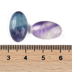 天然のカラフルな蛍石カボション  オーバル  18x10.5x5.5mm&nbsp;G-H288-01E