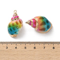コンクシェルペンダント  金色の真鍮で覆われた縁  スプレー塗装  カラフル  26~33x15~18x13~15mm  穴：1.5~1.8mm&nbsp;SSHEL-B002-06C