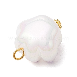 アクリルパーツ  鉄と合金パーツ  足跡  ゴールドカラー  22.5x18.5x13mm  穴：3.5mm&nbsp;PALLOY-JF03927-02