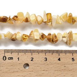 天然琥珀ビーズ連売り  チップ  7~10x5~9x4~6mm  穴：0.5mm  約89~90個/連  13.98インチ（35.5cm）&nbsp;G-L095-N01-03