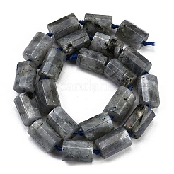 天然石ラブラドライトビーズ連売り  多面カット  コラム  16x12mm  穴：1.5mm  約21個/連  16.34''（41.5センチメートル）&nbsp;G-G162-D13-02