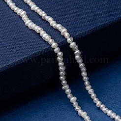 天然養殖淡水パールビーズ連売り  ポテト  アンティークホワイト  3~3.5x2.3~2.6mm  穴：0.5mm  約142~150個/連  14.5インチ（37cm）&nbsp;PEAR-G007-42-01