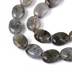 天然石ラブラドライトビーズ連売り  フラットオーバル  8x6x4mm  穴：0.8mm  約48~49個/連  14.88~15.16''（37.8~38.5センチメートル）&nbsp;G-T142-19
