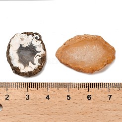 天然ドゥルージー瑪瑙カボション  ジオードアゲートスライス  片側研磨  オーバル  20~30x15~25x4~5mm&nbsp;G-NH0001-09