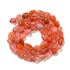 天然石赤瑪瑙ビーズ連売り  ナゲット  タンブルストーン  3~11x4~8x3~6mm  穴：0.9mm  約56個/連  15.94''~15.75''（40~40.5センチメートル）&nbsp;G-P497-01A-11