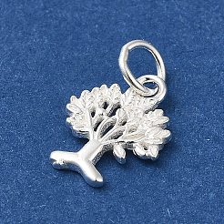 925スターリングシルバーチャーム  命の木  丸カン付き  s925スタンプあり  銀  12x9x1mm  穴：3.5mm&nbsp;STER-NH0001-34S