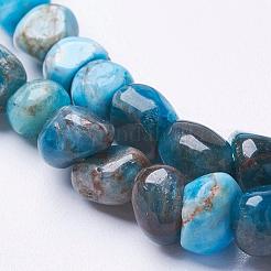 天然石アパタイトビーズ連売り  ナゲット  4~9x4~7mm  穴：1mm  15.5インチ（39.5cm）&nbsp;G-F506-12