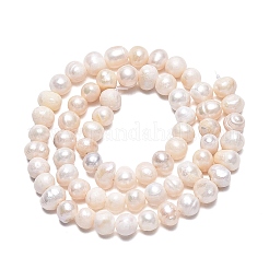 天然養殖淡水パールビーズ連売り  ポテト  貝殻色  4.5~6.5x4~9mm  穴：0.6mm  約64~67個/連  13.39~13.58インチ（34~34.5cm）&nbsp;X-PEAR-N013-05H-01