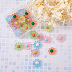 樹脂製のつや消しカボション  イヤリング＆ボビーピンアクセサリーのDIY  デイジーの花  ミックスカラー  23x23mm  6個/カラー  30個/箱&nbsp;RESI-TA0001-26