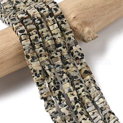 天然石ダルメシアンジャスパービーズ連売り  正方形  4.5x4.5x2.5mm  穴：1mm  約46~51個/連  14.57~15.35''（37~39センチメートル）&nbsp;G-A280-C07-01