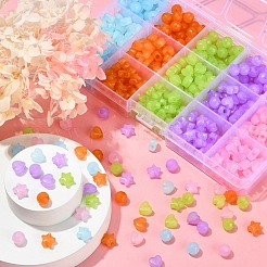 575個15スタイルイミテーションゼリーアクリルビーズ  スター＆ハート＆ラウンド  ミックスカラー  8~9x8~9.5x5.5~7.5mm  穴：1.6~2.5mm&nbsp;MACR-YW0001-79