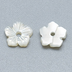 ナチュラルホワイトシェルビーズ  マザーオブパールシェルビーズ  花  貝殻色  6x6.5x2mm  穴：1mm&nbsp;SSHEL-S260-003