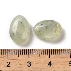 天然プレナイト ティアドロップ チャーム  ペンダントネックレス作りに  14x10x6mm  穴：1mm&nbsp;X-G-M410-01-11