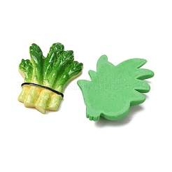 不透明樹脂製の模造植物カボション  混合図形  混合図形  19~31x16~26.5x5~9mm&nbsp;RE-CBAE980-10