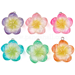 30個のレジンペンダント  花  プラチナ鉄ループ付き  ミックスカラー  26~26.5x24~26x7~8mm  穴：2mm&nbsp;RESI-BM0001-06A