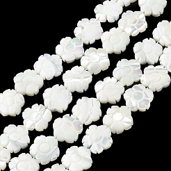 天然ニシキウズガイシェルビーズ連売り  花  フローラルホワイト  12x12.5x3mm  穴：0.8mm  約33個/連  15.75''（40センチメートル）&nbsp;BSHE-E030-03