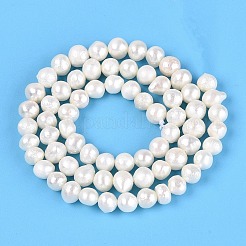 天然ケシパールビーズ連売り  有核真珠  ポテト  乳白色  5~6.5x3~7.5mm  穴：0.6mm  約66~69個/連  13.39~13.58インチ（34~34.5cm）&nbsp;PEAR-N013-05P