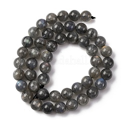 天然石ラブラドライトビーズ連売り  ラウンド  8mm  穴：0.9mm  約48個/連  15.43''（39.2センチメートル）&nbsp;G-H326-01-8mm