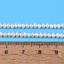 天然バロックケシパール養殖淡水パールビーズ連  有核真珠  ポテト  乳白色  2~3x2~4mm  穴：0.5mm  約164~174個/連  15.35インチ（39cm）&nbsp;PEAR-N013-02J