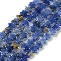 天然石ソーダライトビーズ連売り  スター  6x6x2.5mm  穴：0.7mm  約71~73個/連  14.37''~14.96''（36.5~38センチメートル）&nbsp;G-G085-B46-02