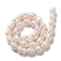 天然養殖淡水パールビーズ連売り  ライス  ビスク  12~13.5x9~10mm  穴：0.7mm  約30個/連  14.17インチ（36cm）&nbsp;PEAR-L033-84-01