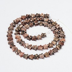 天然ヒョウスキンビーズ連売り  スター  6x2.5mm  穴：1mm  約70個/連  15.3インチ&nbsp;G-M201-27-6mm